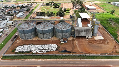 Cópia de DJI_20250320124436_0020_D 1